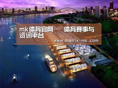 案例展示八
