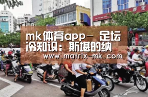 mk体育app-
足坛冷知识:斯堪的纳维亚皇家联赛是个什么联赛?(图1) mk体育下载