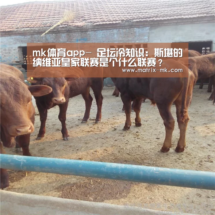 mk体育app-
足坛冷知识:斯堪的纳维亚皇家联赛是个什么联赛?(图2) mk体育下载