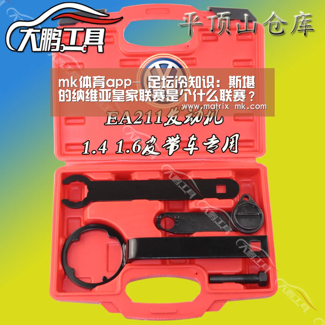 mk体育app-
足坛冷知识:斯堪的纳维亚皇家联赛是个什么联赛?(图4) mk体育