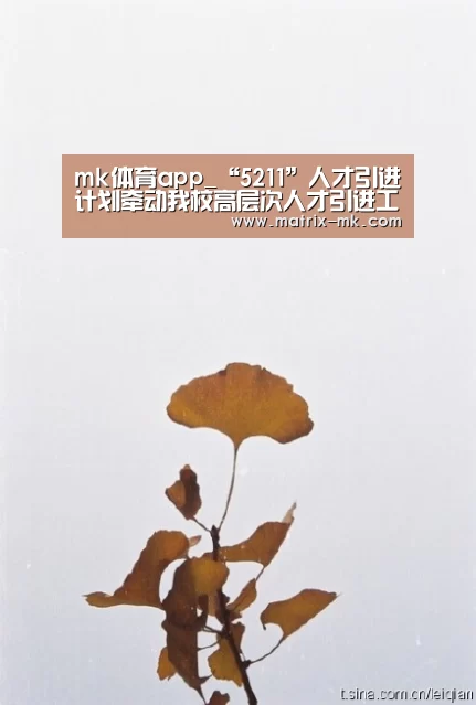 mk体育app_“5211”人才引进计划牵动我校高层次人才引进工作开启新局面(图1) mk体育app