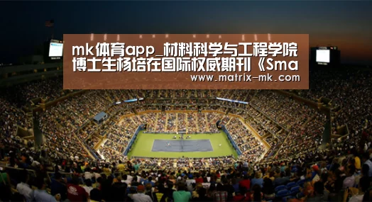 mk体育app_材料科学与工程学院博士生杨培在国际权威期刊《Small》上发表学术论文(图1) mk体育app