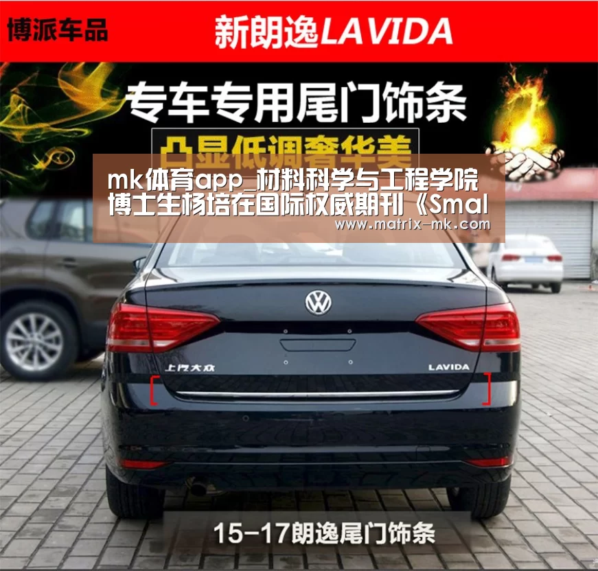 mk体育app_材料科学与工程学院博士生杨培在国际权威期刊《Small》上发表学术论文(图3) mk体育app