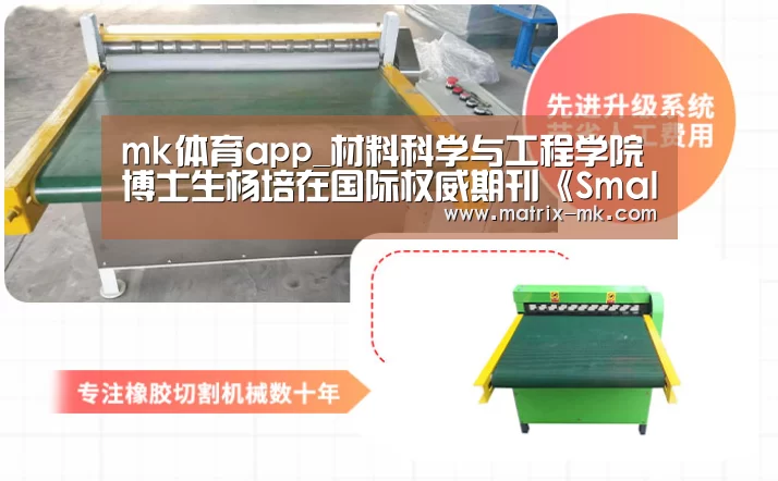 mk体育app_材料科学与工程学院博士生杨培在国际权威期刊《Small》上发表学术论文(图2) mk体育下载