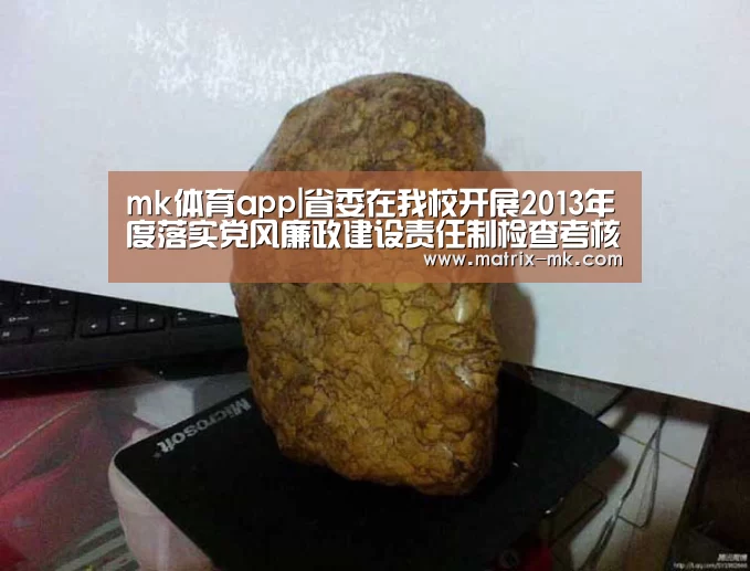 mk体育app|省委在我校开展2013年度落实党风廉政建设责任制检查考核工作(图1) mk体育app