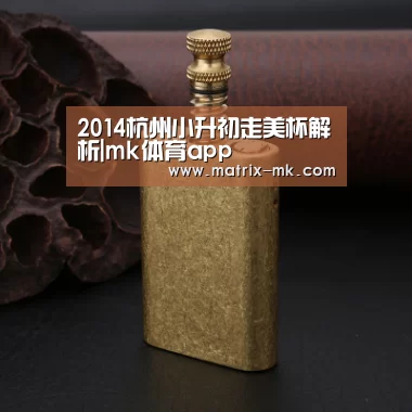 2014杭州小升初走美杯解析|mk体育app(图2) mk体育下载