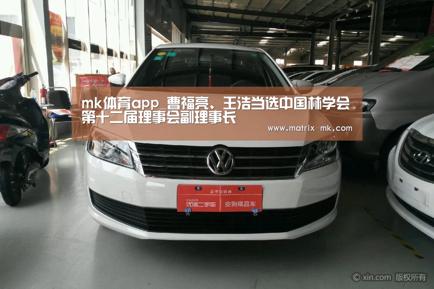 mk体育app_曹福亮、王浩当选中国林学会第十二届理事会副理事长(图1) mk体育在线