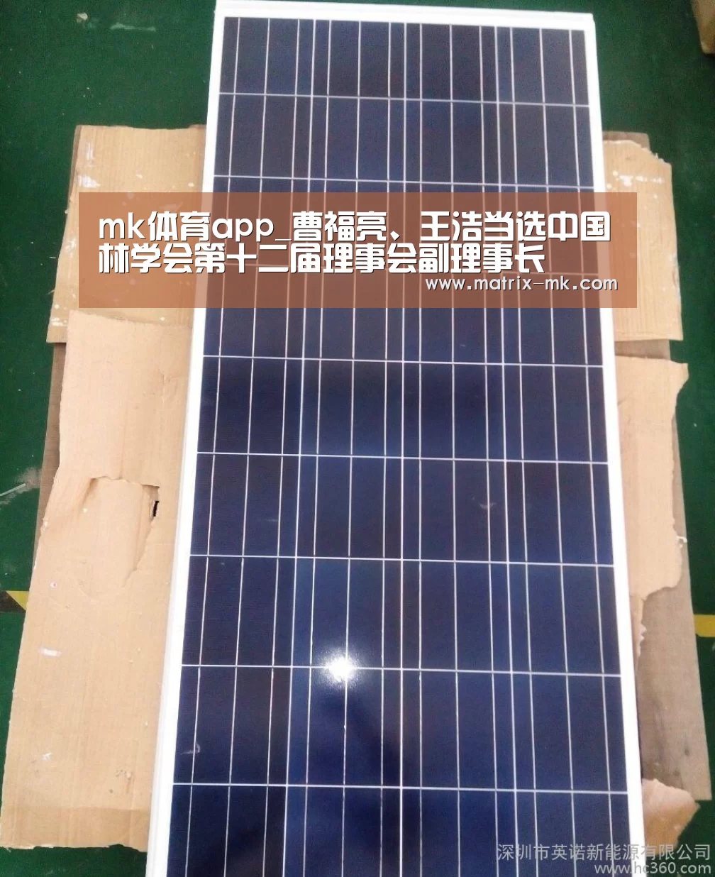 mk体育app_曹福亮、王浩当选中国林学会第十二届理事会副理事长(图2) mk体育