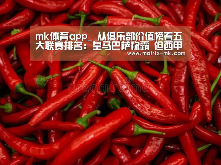 mk体育app_
从俱乐部价值榜看五大联赛排名:皇马巴萨称霸 但西甲只能排第2(图1) mk体育app