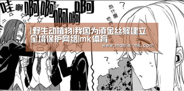 mk体育下载