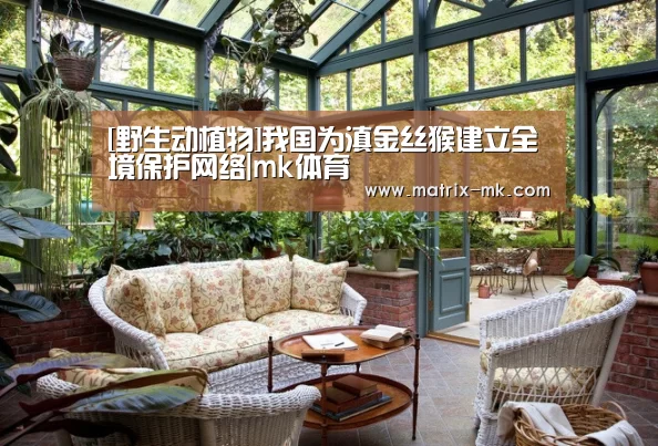 mk体育在线
