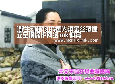 mk体育在线