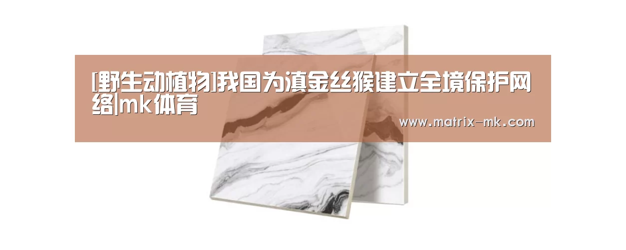 mk体育下载