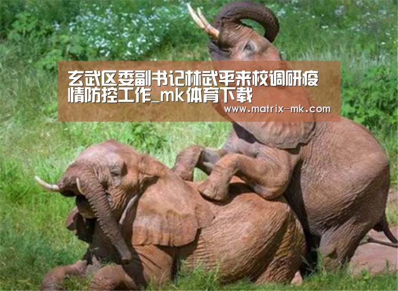 玄武区委副书记林武平来校调研疫情防控工作_mk体育下载(图1) mk体育在线