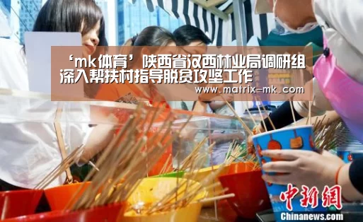 ‘mk体育’陕西省汉西林业局调研组深入帮扶村指导脱贫攻坚工作(图1) mk体育app