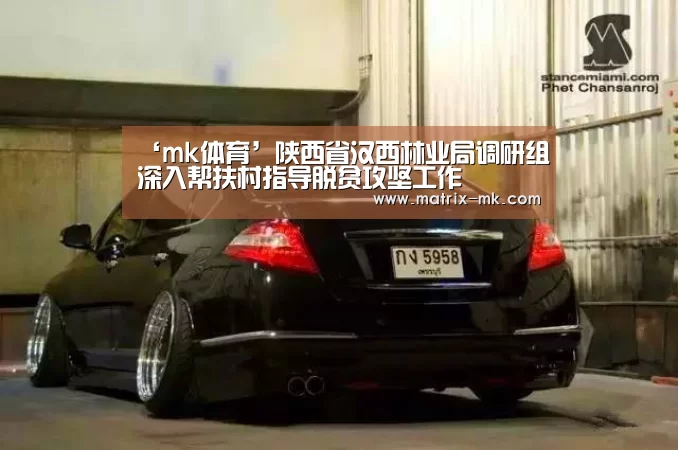 ‘mk体育’陕西省汉西林业局调研组深入帮扶村指导脱贫攻坚工作(图2) mk体育