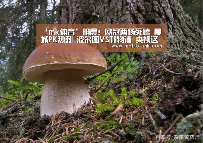 ‘mk体育’明晨!欧冠两场死磕 曼城PK热刺 波尔图VS利物浦 央视这样直播(图2) mk体育app